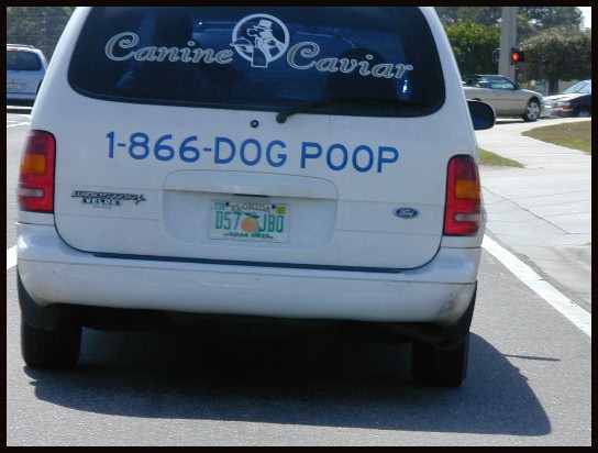 I was careful to not rear-end this guy