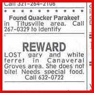 I personally think that Gary ran away with the ferret