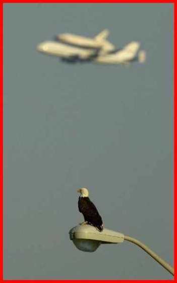Thanks to Michael Brown and Florida Today for this picture