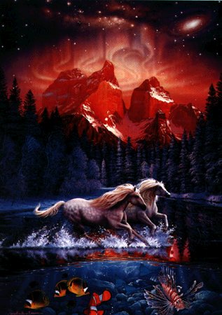 These are horses by the Sea