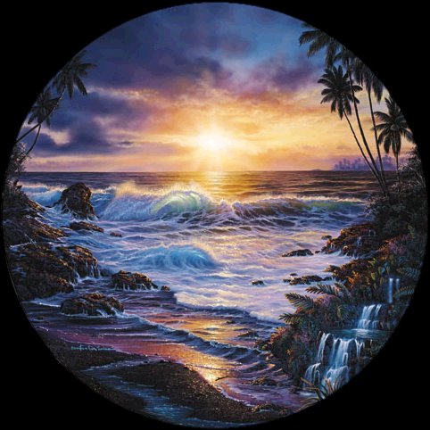 Our Maui Sea