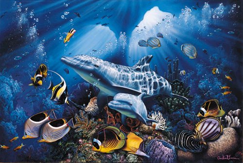 Our Miracle Sea