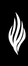 SITE EM PORTUGU�S