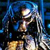The Predator