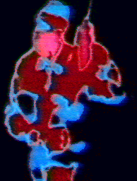 This is what the Predator sees... a projection of heat from his targets body