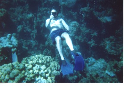 A BIG thumbs up diving in The Bahamas !