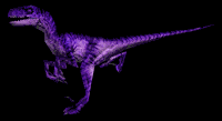 "Yeah... I stayed out in the Ultra Violet rays too long..... but is it THAT easy to tell?"