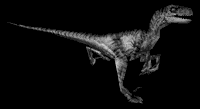 "I am the White Raptor..... I protect those in need."