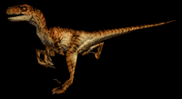 "...... eh s'cuse me? Mr. Alien Raptor..."