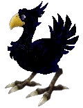 Meet Shinigami's Shadow
