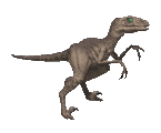 "Heyo!! Hey meet my new friend!!! Her name is Tailptor!"