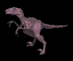 "WAAAAAAAAA I'M PINK!!!! WAAAAAAAAA!!!!!"