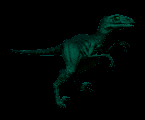 "I am the Raptor of Death.... Don't mess with me and I'll let you be. Mess with my head, you'll end up dead."