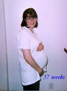 37 weeks - 22 KB