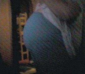 kacga-37 wks, 11kb