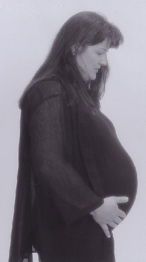 ponzinia - 37 weeks, 16 KB