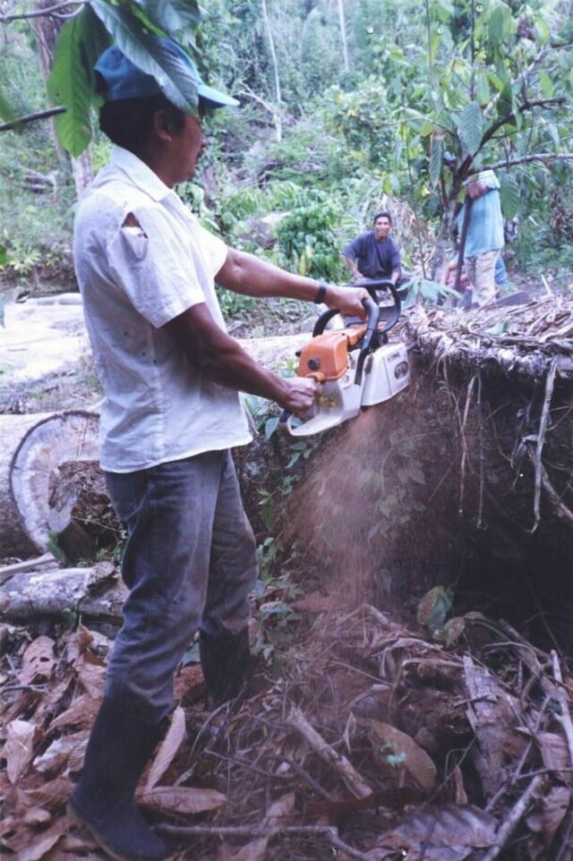 O38 CHAINSAW