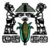Maya Leaders' Alliance