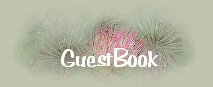 sign my guestbook
