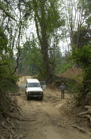 b. Old road