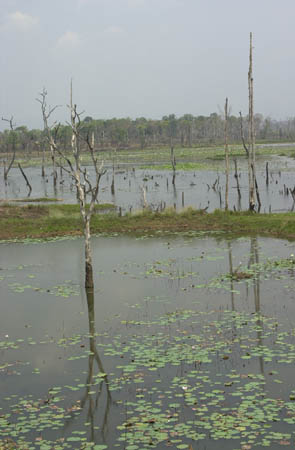 g. Ta Mok's dead lake