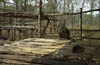 c. Deserted Khmer Rouge camp