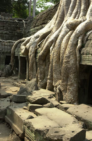 g. Ta Prohm