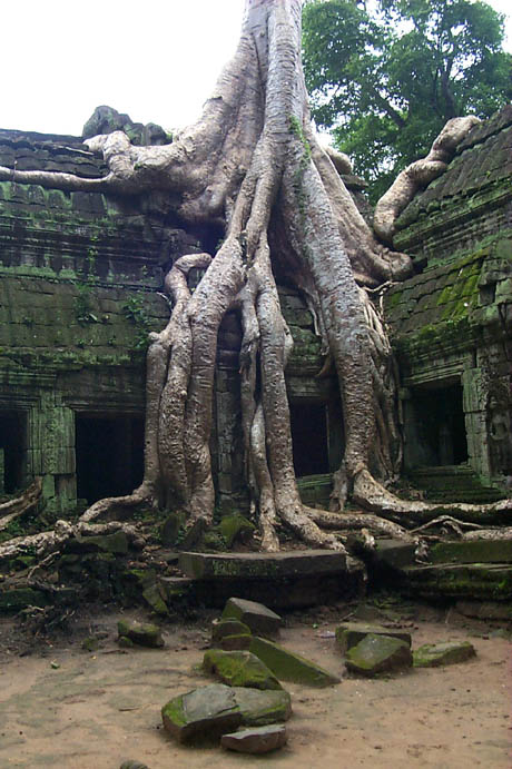 Angkor 3