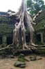Angkor 3