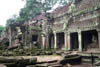 Angkor 4