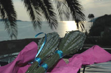 Scent of Hvar