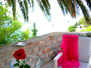 Under the palm