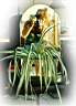 flower-miror1.jpg