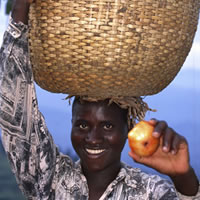 appleman