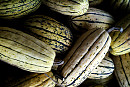 gourds