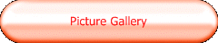 Picture Gallery