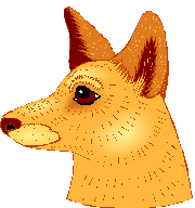 Dog Graphic