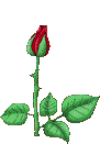 rose_2_2.gif (22267 bytes)