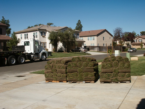 Click Here to View the slide show of sod installation.