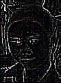 The Directory