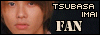 Imai Tsuabsa Fan
