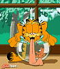 GARFIELD GETIN SOME RELIEF