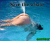  Save the whales 