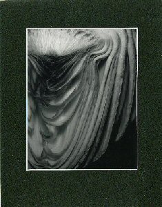 picture of artichoke