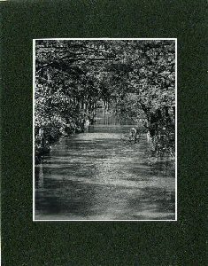picture of Media River