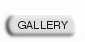 Museo Virtual