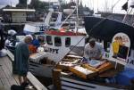 Daily fish market