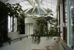 Atrium we liked