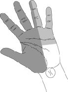 carpal tunnel&nbsp;1