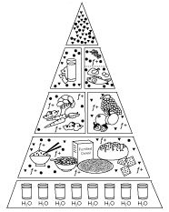 food pyramid